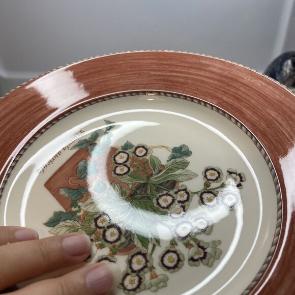 Set of 4 Wedgwood Sarah's Garden Salad Plates - One of Each Color 8 1/4” - Picture 10 of 14